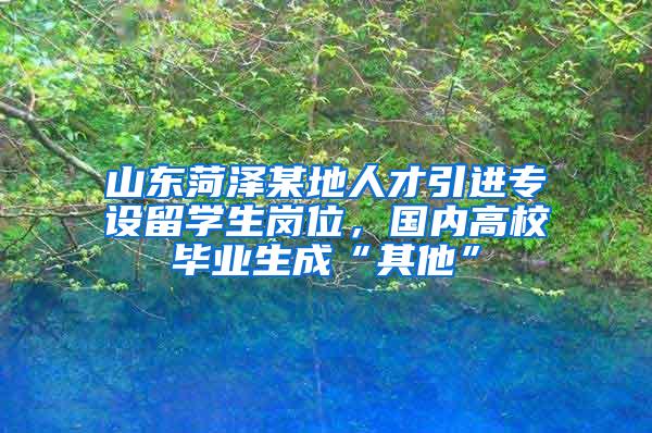 山东菏泽某地人才引进专设留学生岗位，国内高校毕业生成“其他”