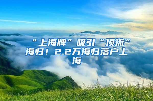 “上海牌”吸引“顶流”海归！2.2万海归落户上海