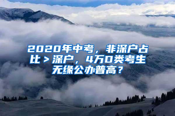 2020年中考，非深户占比＞深户，4万D类考生无缘公办普高？