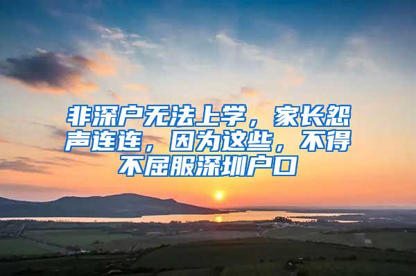 非深户无法上学，家长怨声连连，因为这些，不得不屈服深圳户口