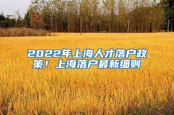 2022年上海人才落户政策！上海落户最新细则