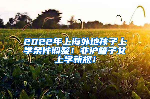 2022年上海外地孩子上学条件调整！非沪籍子女上学新规！