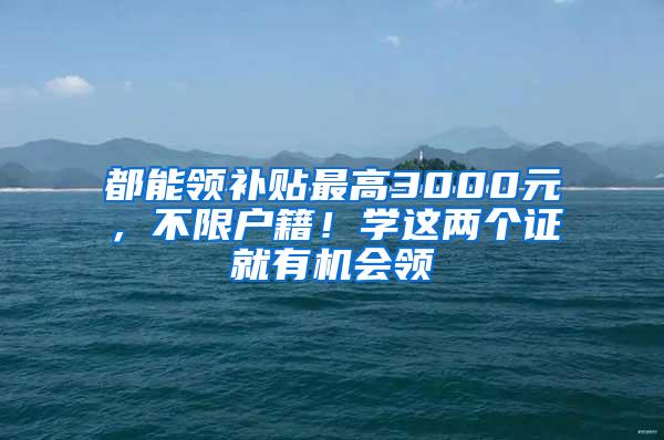 都能领补贴最高3000元，不限户籍！学这两个证就有机会领