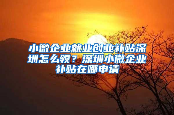 小微企业就业创业补贴深圳怎么领？深圳小微企业补贴在哪申请