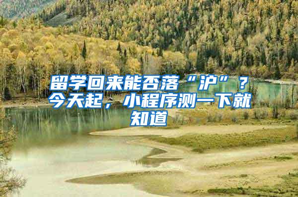 留学回来能否落“沪”？今天起，小程序测一下就知道