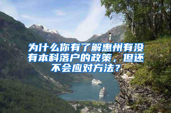 为什么你有了解惠州有没有本科落户的政策，但还不会应对方法？