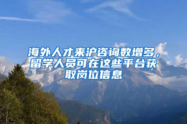 海外人才来沪咨询数增多，留学人员可在这些平台获取岗位信息