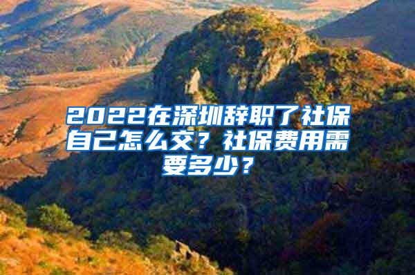 2022在深圳辞职了社保自己怎么交？社保费用需要多少？