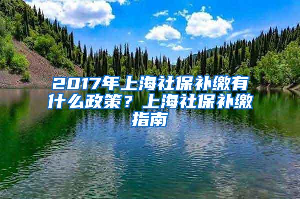 2017年上海社保补缴有什么政策？上海社保补缴指南