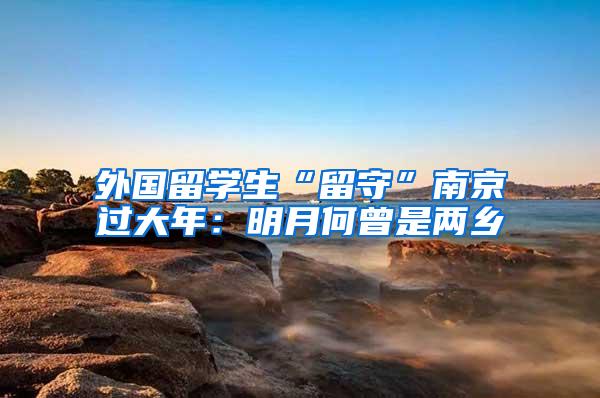 外国留学生“留守”南京过大年：明月何曾是两乡