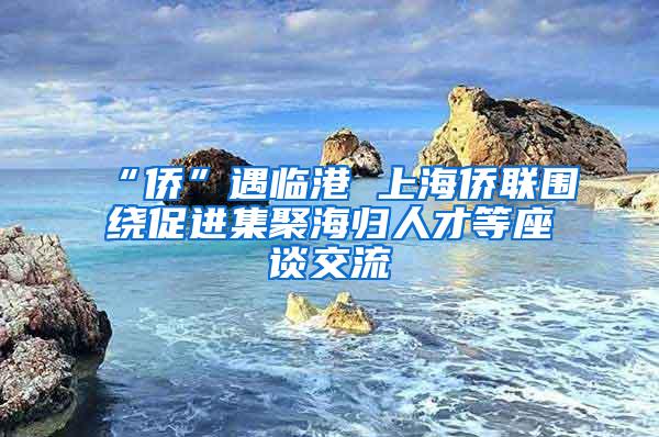 “侨”遇临港 上海侨联围绕促进集聚海归人才等座谈交流