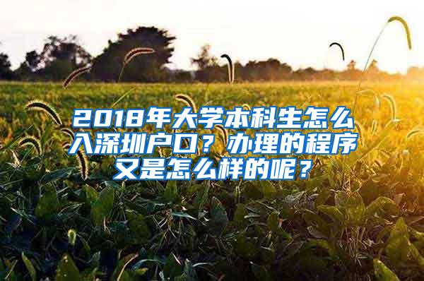 2018年大学本科生怎么入深圳户口？办理的程序又是怎么样的呢？