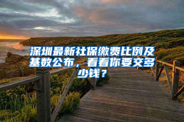 深圳最新社保缴费比例及基数公布，看看你要交多少钱？