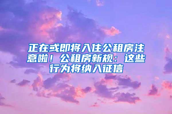 正在或即将入住公租房注意啦！公租房新规：这些行为将纳入征信