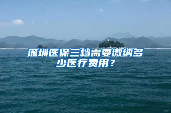 深圳医保三档需要缴纳多少医疗费用？