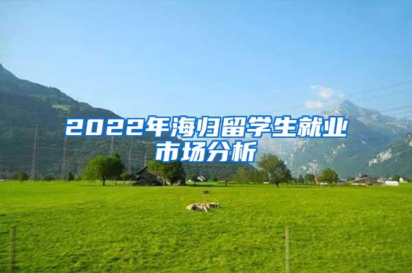 2022年海归留学生就业市场分析