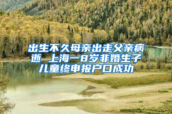 出生不久母亲出走父亲病逝 上海一8岁非婚生子儿童终申报户口成功