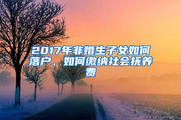 2017年非婚生子女如何落户，如何缴纳社会抚养费