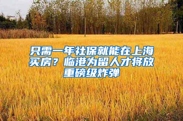 只需一年社保就能在上海买房？临港为留人才将放重磅级炸弹