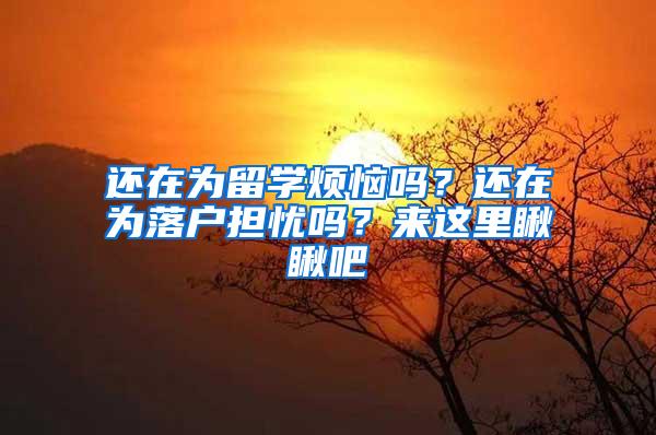 还在为留学烦恼吗？还在为落户担忧吗？来这里瞅瞅吧