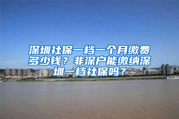 深圳社保一档一个月缴费多少钱？非深户能缴纳深圳一档社保吗？