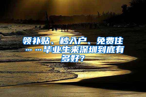 领补贴、秒入户、免费住……毕业生来深圳到底有多好？