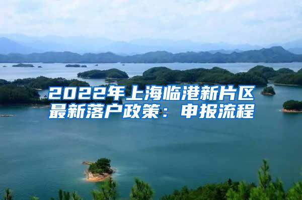 2022年上海临港新片区最新落户政策：申报流程