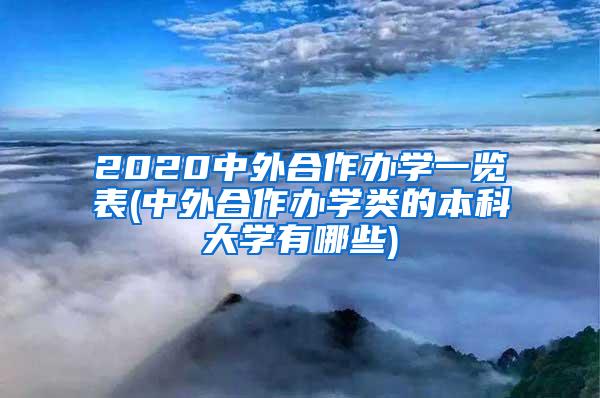 2020中外合作办学一览表(中外合作办学类的本科大学有哪些)