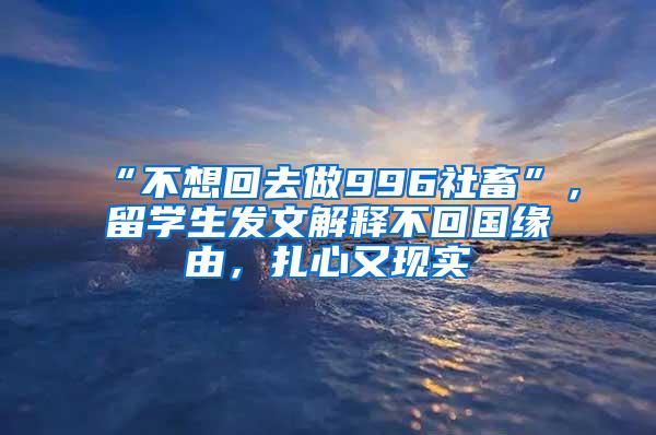 “不想回去做996社畜”，留学生发文解释不回国缘由，扎心又现实