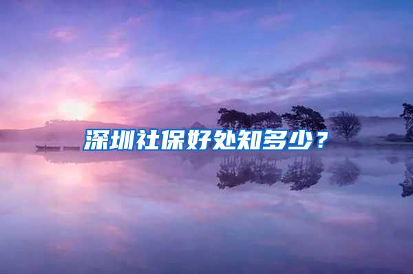 深圳社保好处知多少？