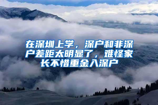 在深圳上学，深户和非深户差距太明显了，难怪家长不惜重金入深户