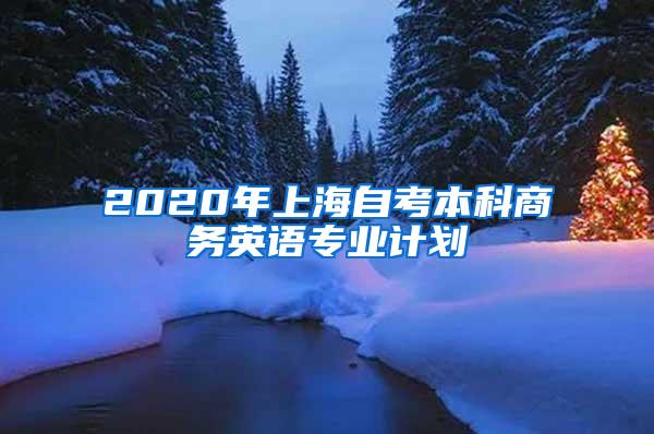 2020年上海自考本科商务英语专业计划