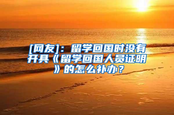 [网友]：留学回国时没有开具《留学回国人员证明》的怎么补办？