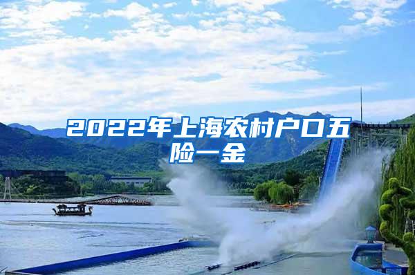 2022年上海农村户口五险一金