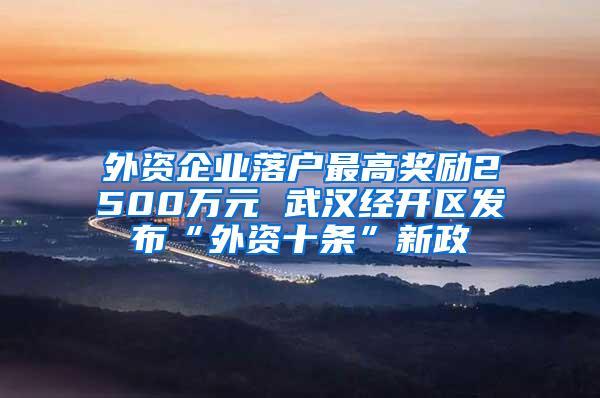 外资企业落户最高奖励2500万元 武汉经开区发布“外资十条”新政