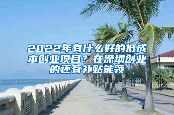 2022年有什么好的低成本创业项目？在深圳创业的还有补贴能领