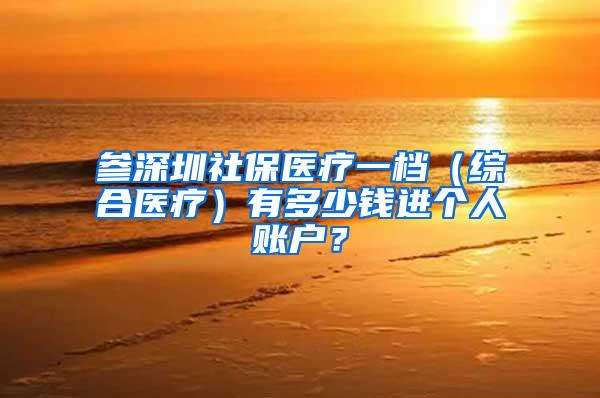 参深圳社保医疗一档（综合医疗）有多少钱进个人账户？