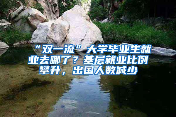 “双一流”大学毕业生就业去哪了？基层就业比例攀升，出国人数减少