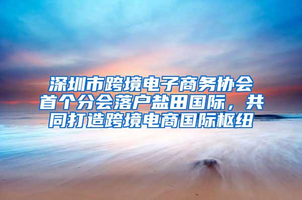 深圳市跨境电子商务协会首个分会落户盐田国际，共同打造跨境电商国际枢纽