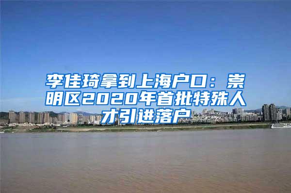 李佳琦拿到上海户口：崇明区2020年首批特殊人才引进落户