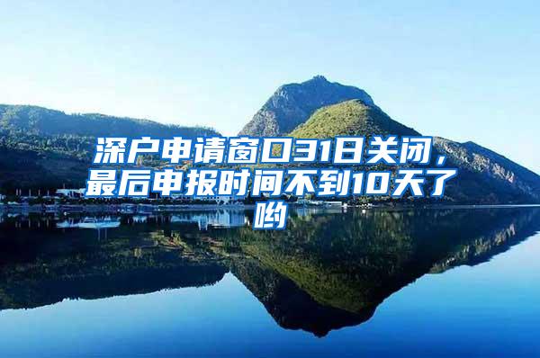 深户申请窗口31日关闭，最后申报时间不到10天了哟