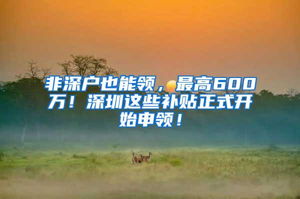 非深户也能领，最高600万！深圳这些补贴正式开始申领！