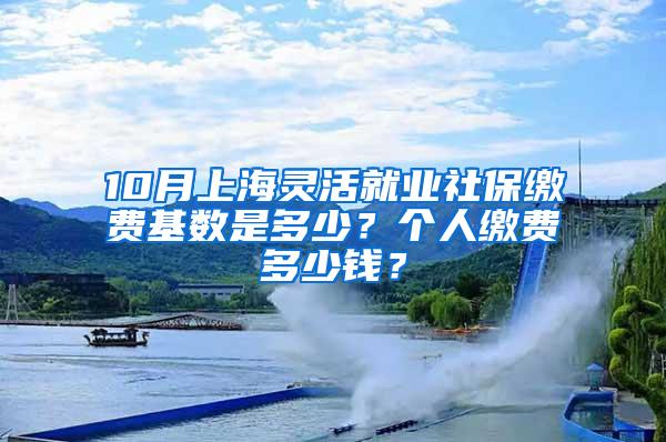 10月上海灵活就业社保缴费基数是多少？个人缴费多少钱？