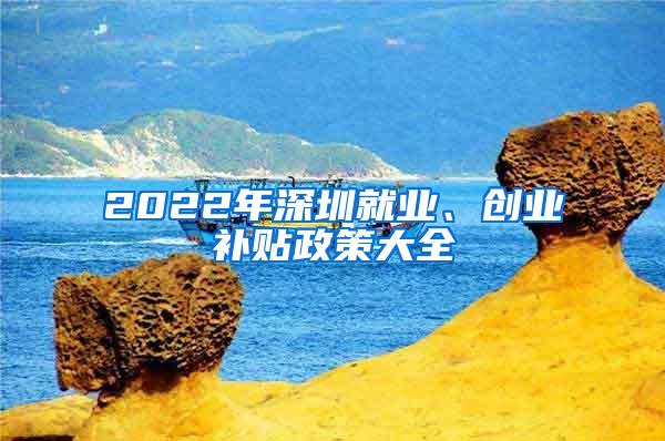 2022年深圳就业、创业补贴政策大全