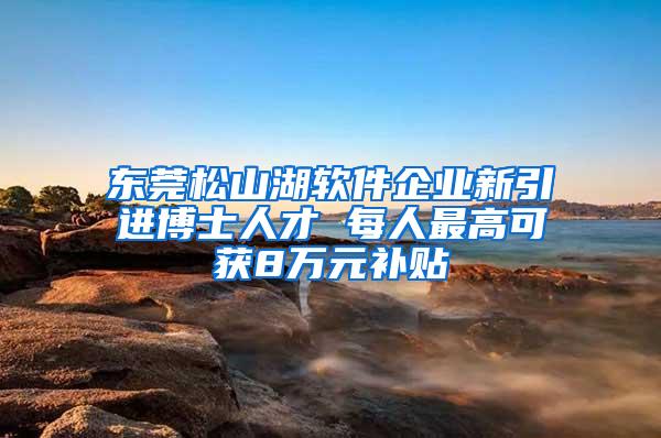 东莞松山湖软件企业新引进博士人才 每人最高可获8万元补贴