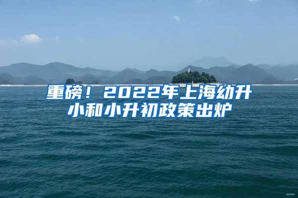 重磅！2022年上海幼升小和小升初政策出炉