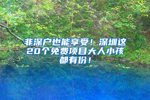 非深户也能享受！深圳这20个免费项目大人小孩都有份！