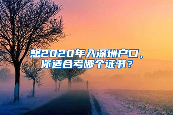 想2020年入深圳户口，你适合考哪个证书？