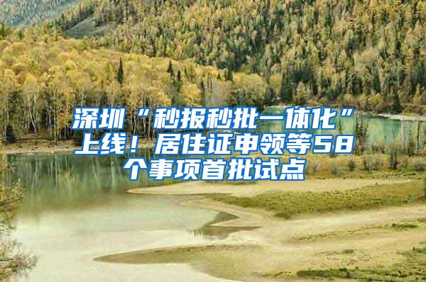 深圳“秒报秒批一体化”上线！居住证申领等58个事项首批试点