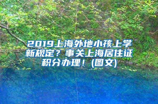 2019上海外地小孩上学新规定？事关上海居住证积分办理！(图文)